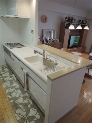 ディスポーザー付キッチンのお取替え